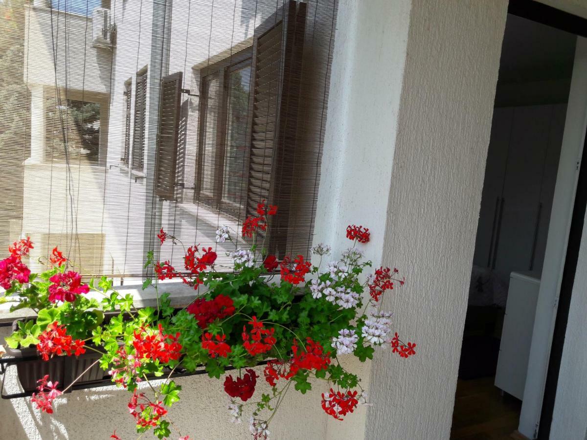 Apartments Ruzica PUY 외부 사진